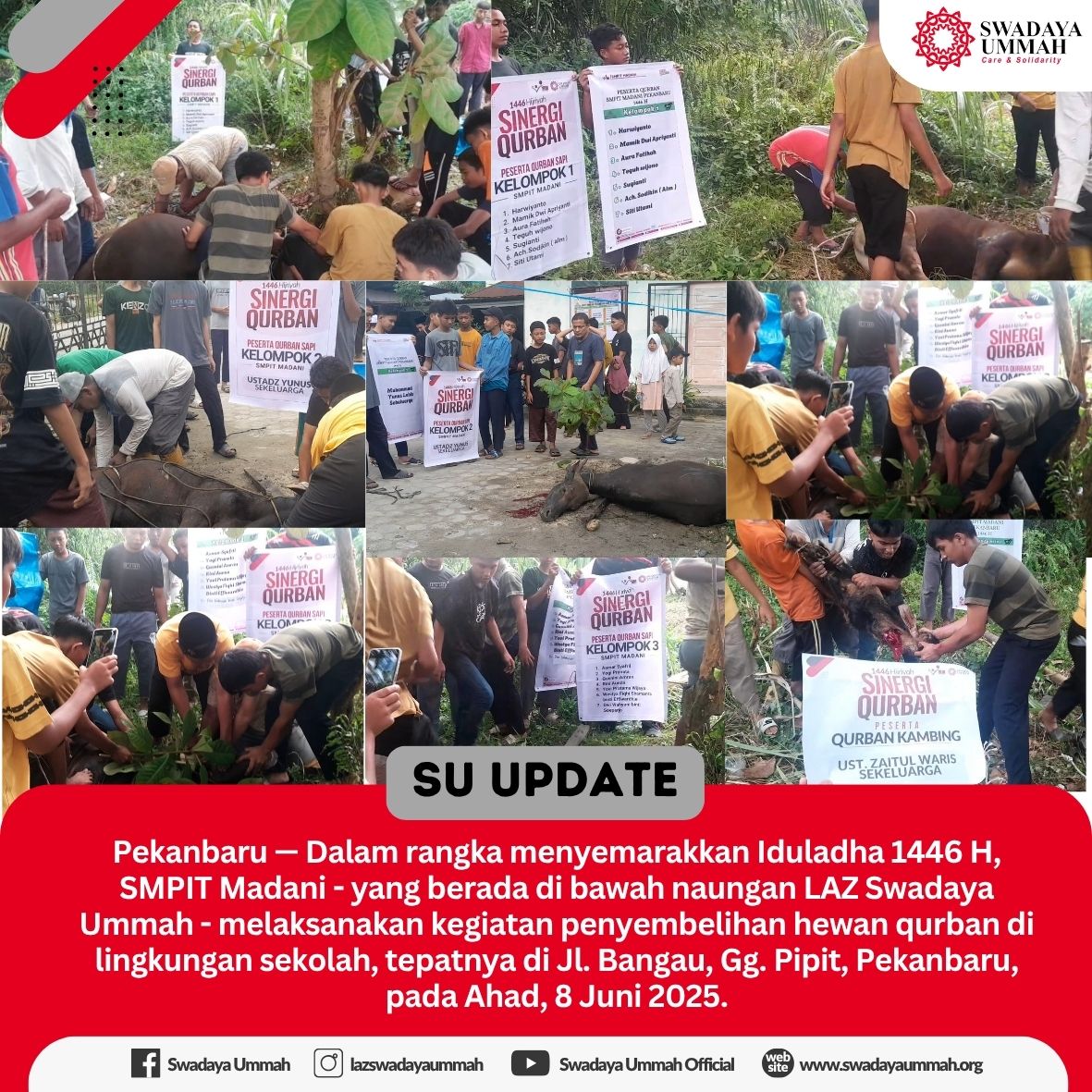161 Paket Qurban Disalurkan, SMPIT Madani Gelar Penyembelihan Hewan Qurban